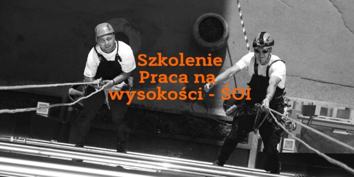 Szkolenie tematyczne online z zakresu prac na wysokości – ŚOI